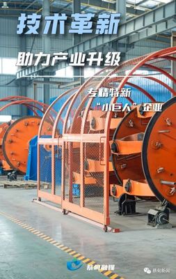 掌握核心技術(shù)，蔡甸電纜生產(chǎn)“小巨人”淡季不淡的啟示